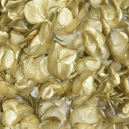 Fc 237 Gold metalic