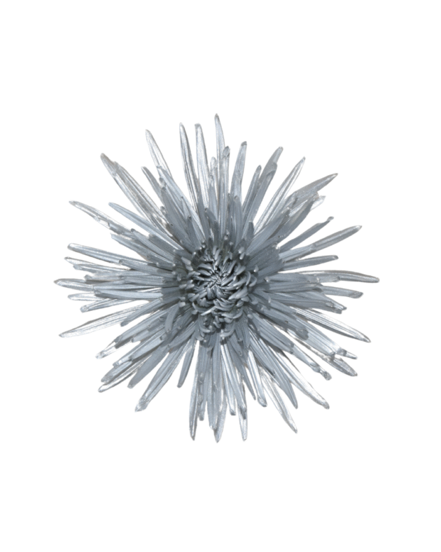 Fc 234 Silver metalic - Imagen 2