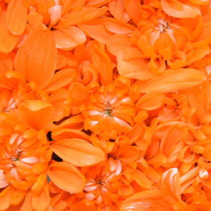 Fc-a02 Naranja absorción