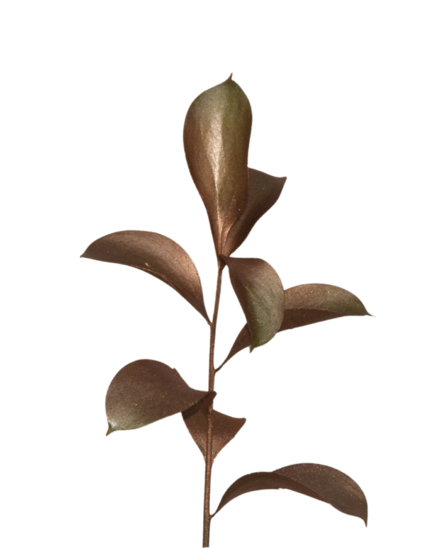 Fc 333 Mocha mousse metalic - Imagen 3