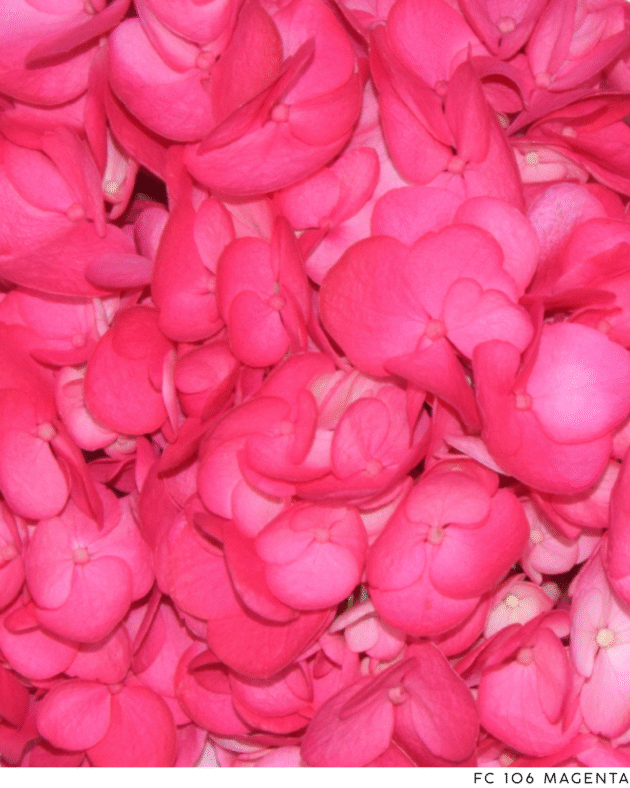 Fc 106 Magenta