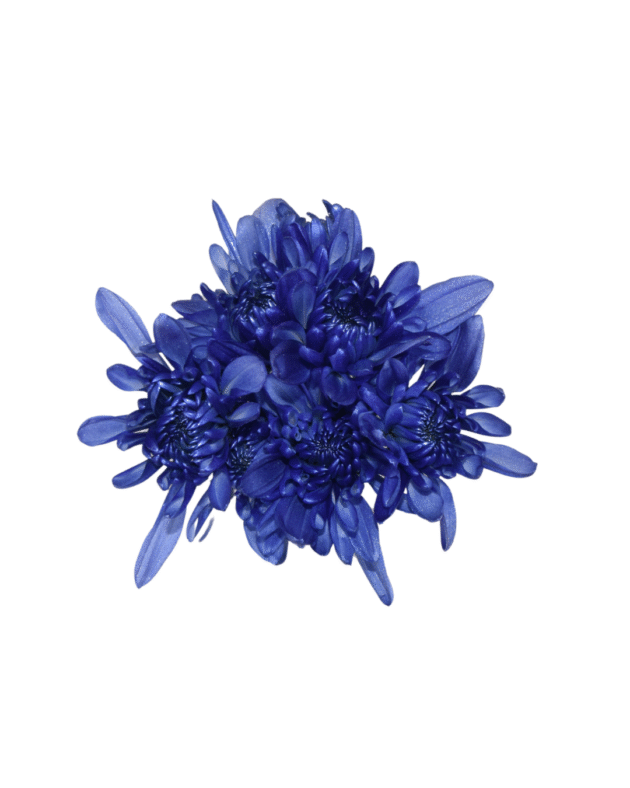 Fc 307 Violeta metalic - Imagen 4