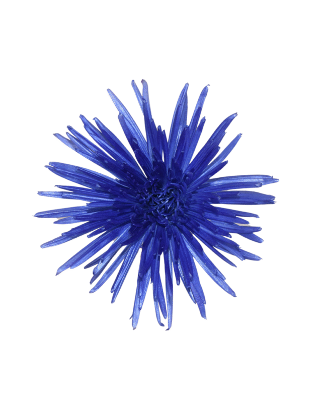 Fc 307 Violeta metalic - Imagen 2