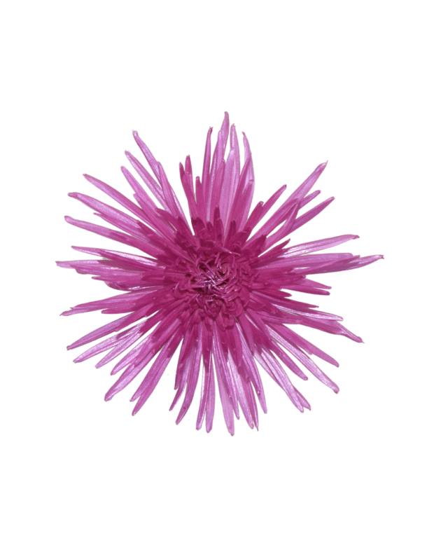 Fc 312 Hotpink metalic - Imagen 2