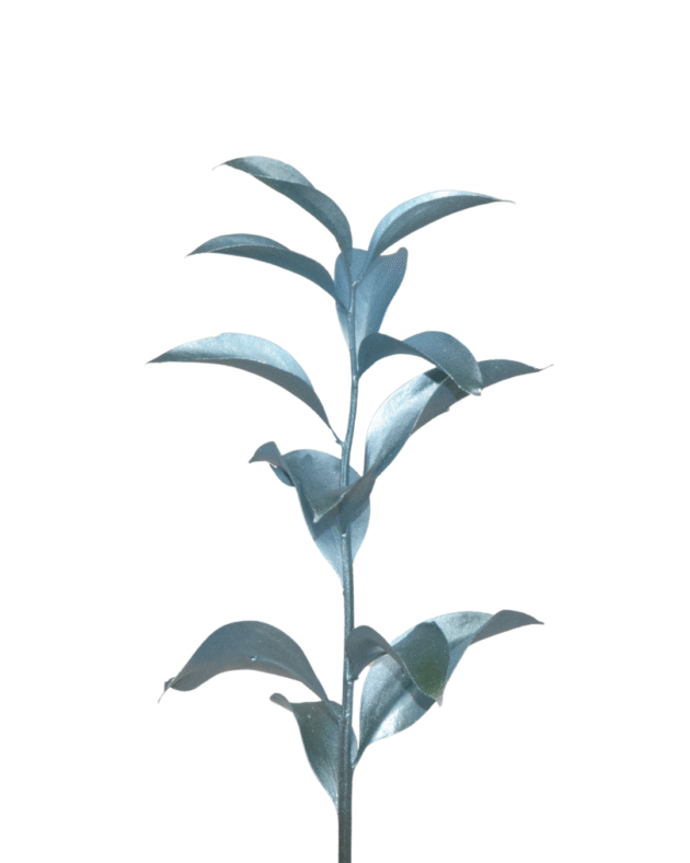 Fc 338 Light blue metalic - Imagen 3