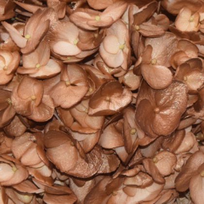 Fc 333 Mocha mousse metalic