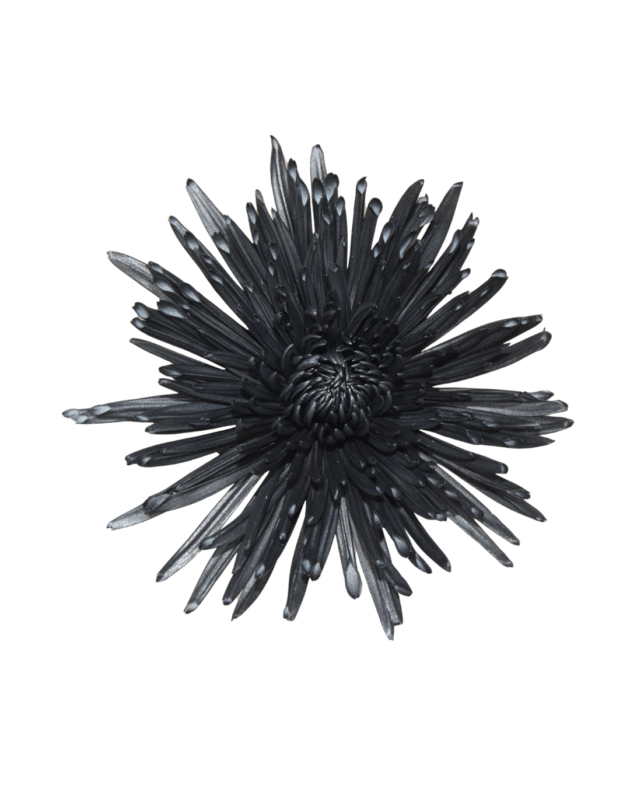 Fc 314 Negro metalic - Imagen 2