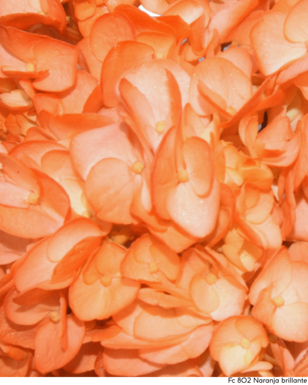 Fc 802 Naranja brillante