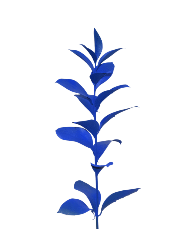 Fc 105 Azul bandera - Imagen 3