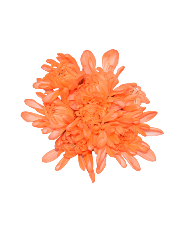 Fc 402 Naranja Neón - Imagen 3