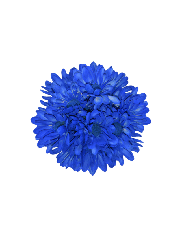 Fc 105 Azul bandera - Imagen 4