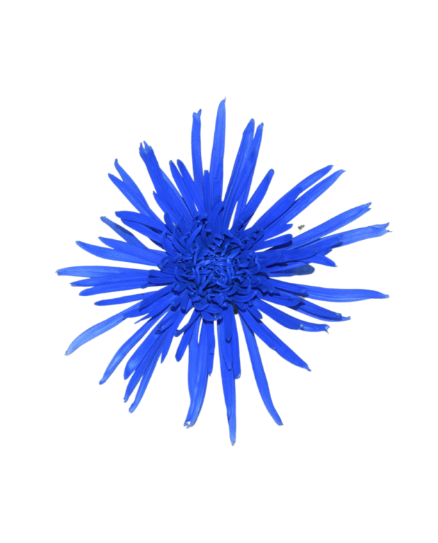 Fc 105 Azul bandera - Imagen 2