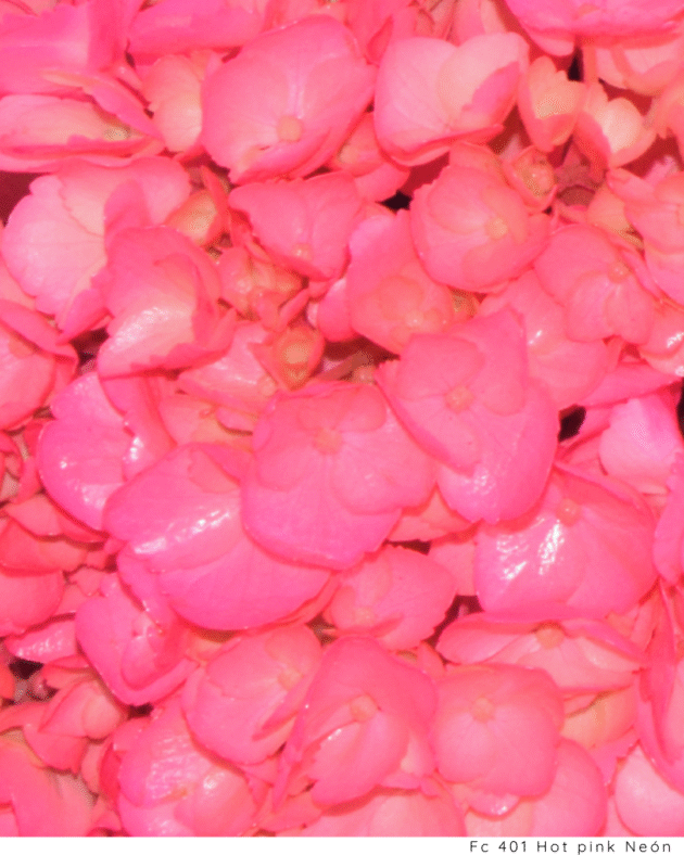Fc 401 Hot pink Neón