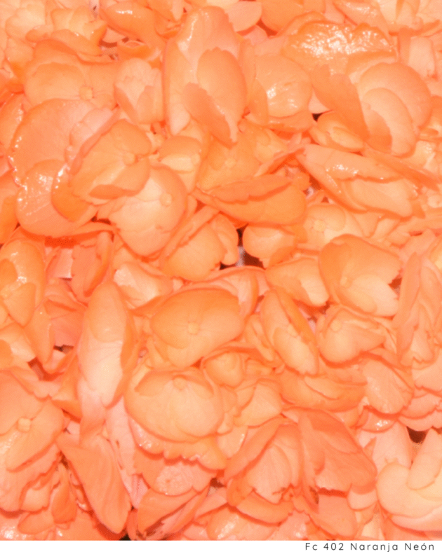 Fc 402 Naranja Neón