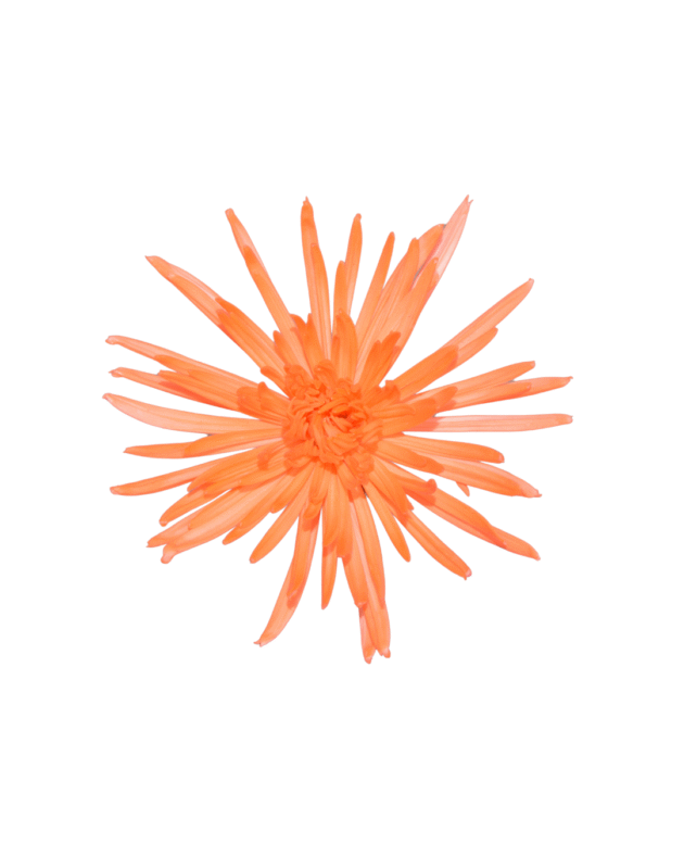 Fc 402 Naranja Neón - Imagen 2
