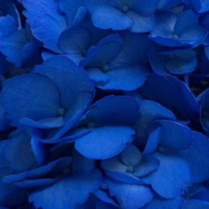 FC 1096 AZUL INDEPENDENCIA