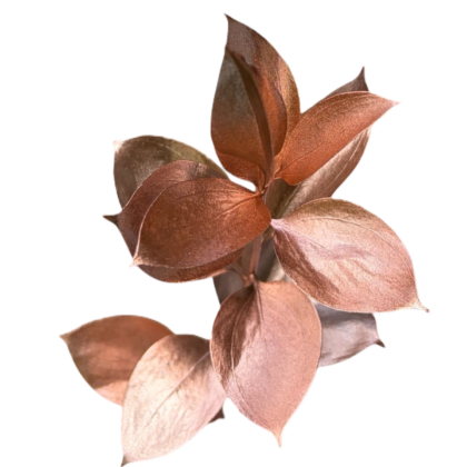 FC 316 PEACH METALICO