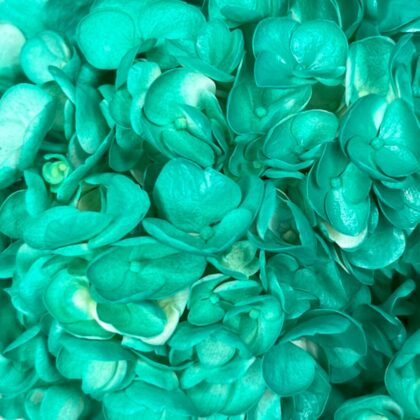 FC 291 VERDE MENTA