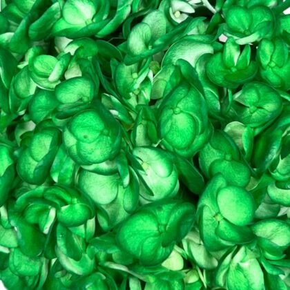 FC 258 VERDE PINO