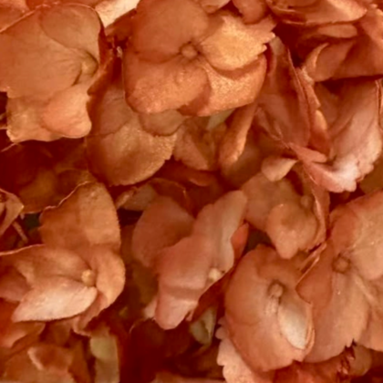 FC 304 NARANJA MÉTALICO